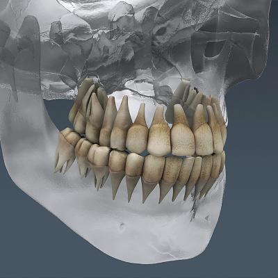 Oral and Maxillofacial Surgeon